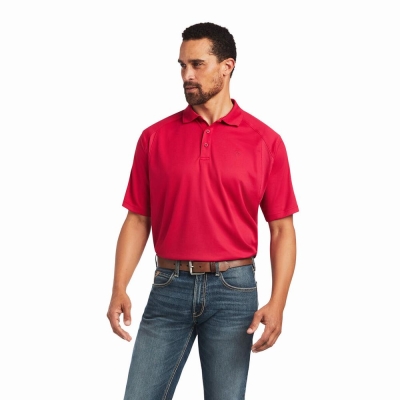 Ariat AC Polo Shirts Herren Rosa | 741HRZQTO