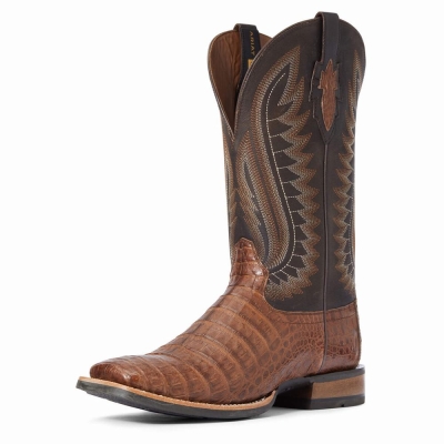 Ariat Double Westernstiefel Herren Mehrfarbig | 791SJPKOB