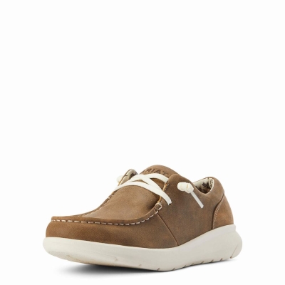 Ariat Hilo Sneakers Damen Braun | 254QAPKHR