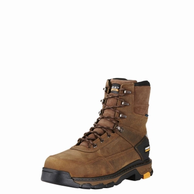 Ariat Intrepid 8" Wasserdichte Composite Kappe Wasserfeste Stiefel Herren Braun | 857TSJZOE