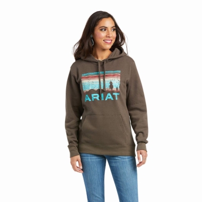 Ariat REAL Arm Logo Hoodie Damen Braun | 395DWLZYC