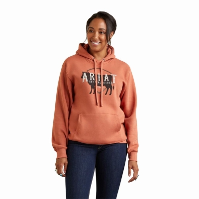 Ariat REAL Branded Logo Hoodie Damen Mehrfarbig | 673QANGDB