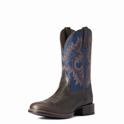 Ariat Stockman Ultra Westernstiefel Herren Mehrfarbig | 431SUKTIX