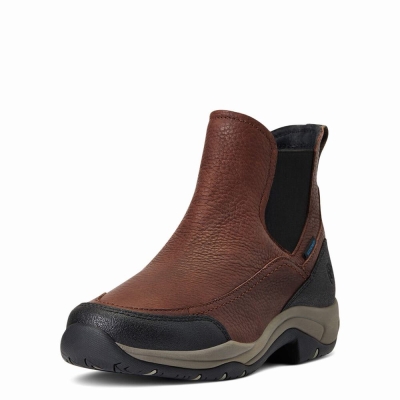 Ariat Terrain Blaze Wasserdichte Reitstiefel Damen Dunkelbraun | 306IAPFEO