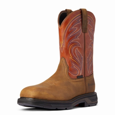 Ariat WorkHog XT Cottonwood Carbon Kappe Arbeitsstiefel Herren Mehrfarbig | 847HKJYDZ