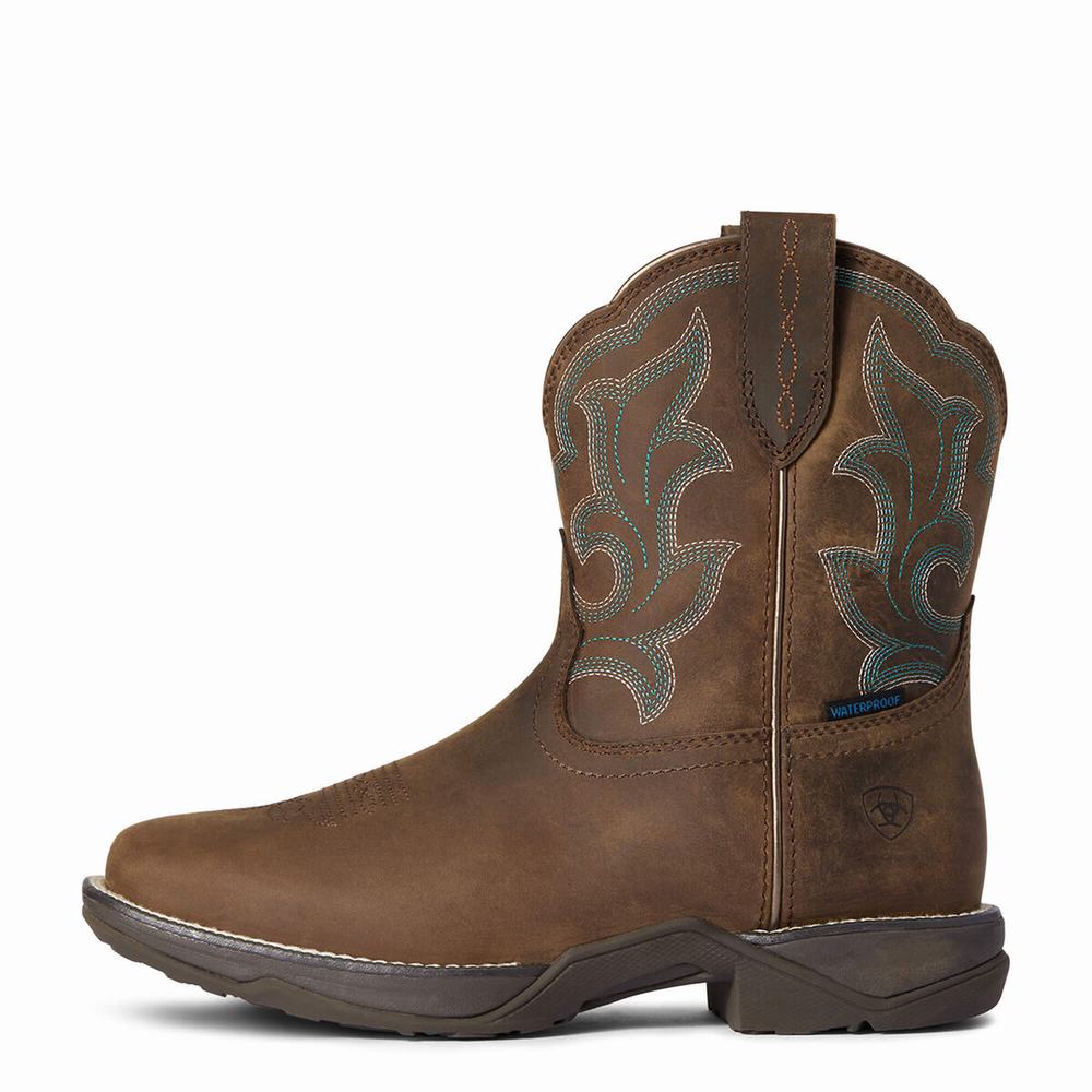 Ariat Anthem II Wasserdichte Wasserfeste Stiefel Damen Braun | 748AIFPJB