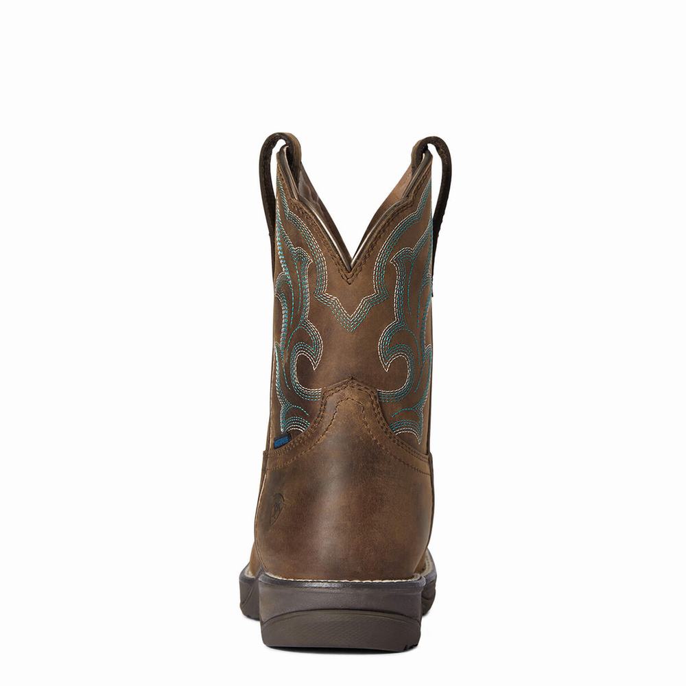 Ariat Anthem II Wasserdichte Wasserfeste Stiefel Damen Braun | 748AIFPJB