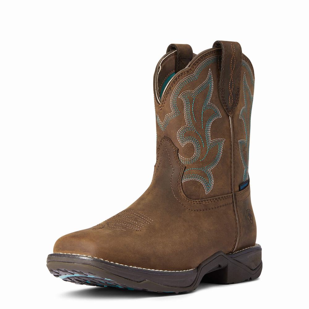 Ariat Anthem II Wasserdichte Wasserfeste Stiefel Damen Braun | 748AIFPJB