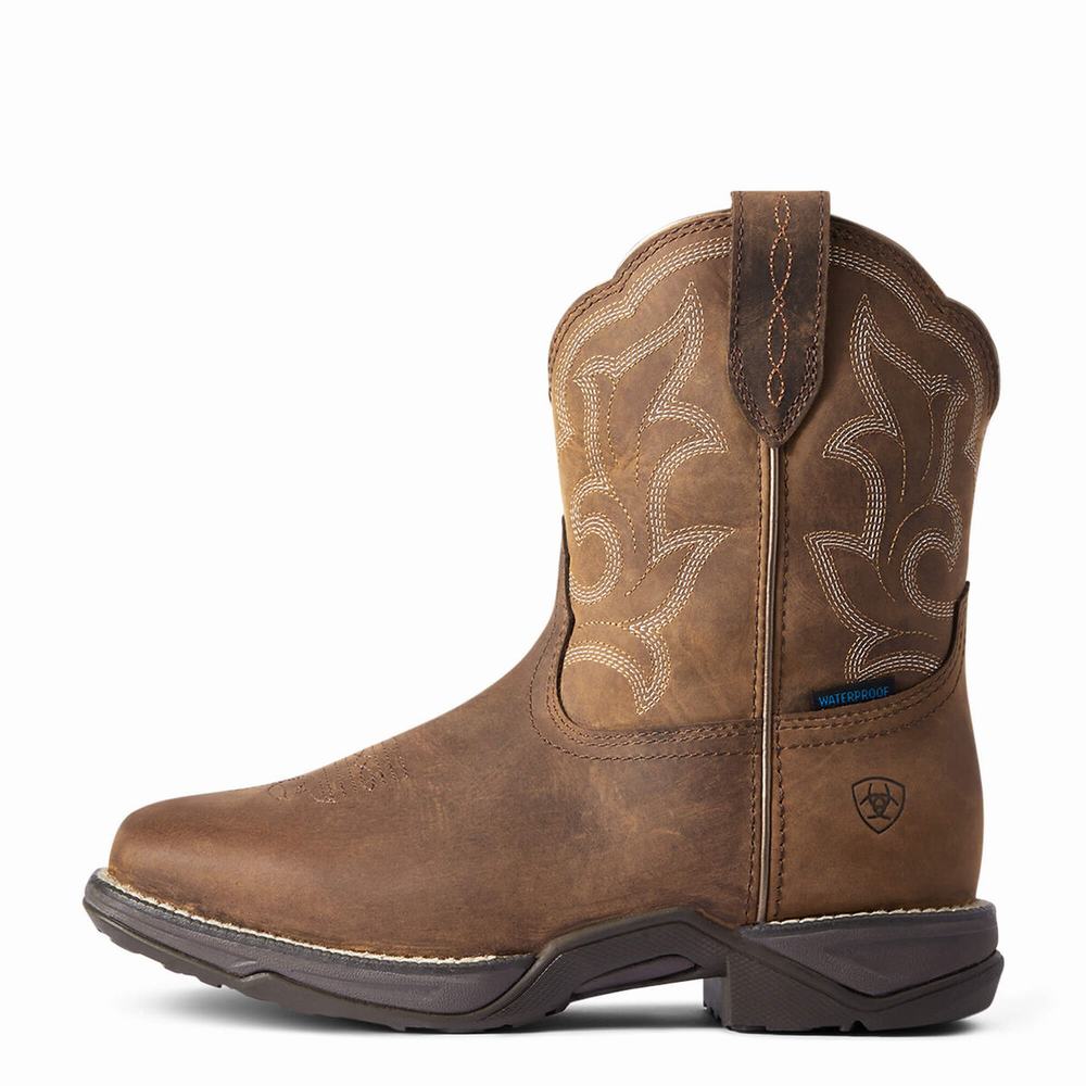 Ariat Anthem II Wasserdichte Wasserfeste Stiefel Damen Braun | 853NUJIWA