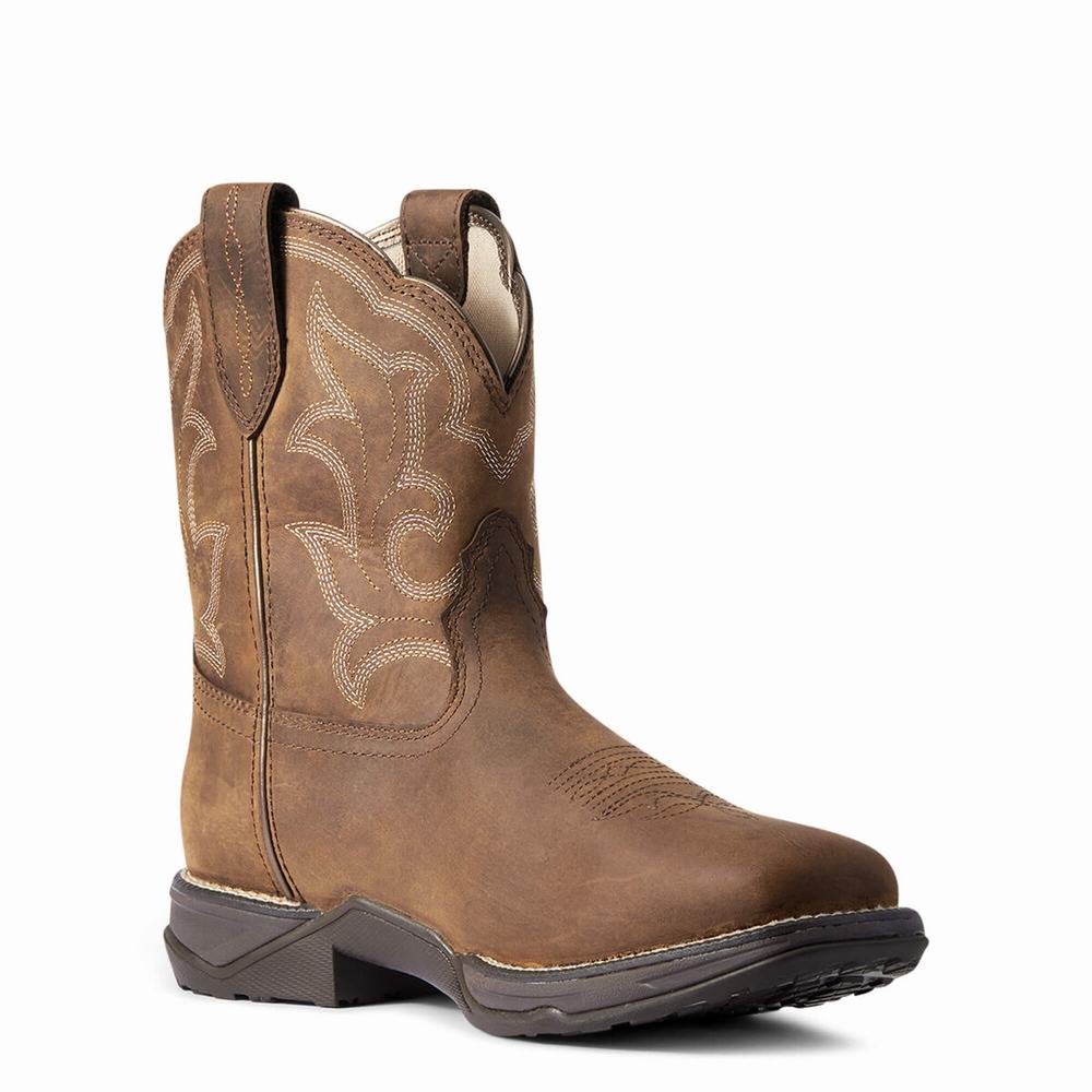 Ariat Anthem II Wasserdichte Wasserfeste Stiefel Damen Braun | 853NUJIWA