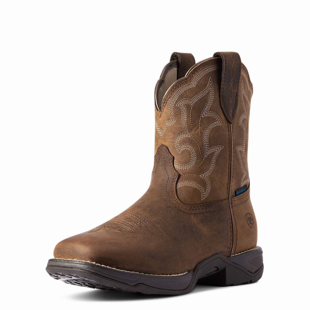 Ariat Anthem II Wasserdichte Wasserfeste Stiefel Damen Braun | 853NUJIWA