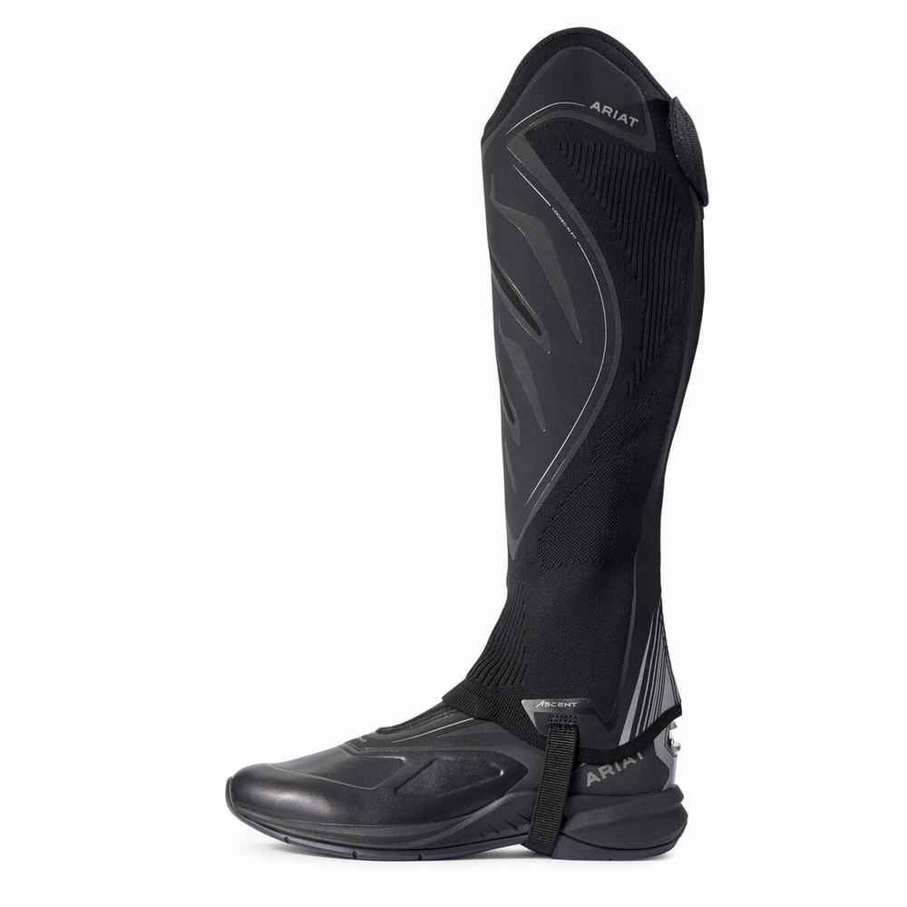 Ariat Ascent Half Chap Reitstiefel Damen Schwarz | 536LABHMQ