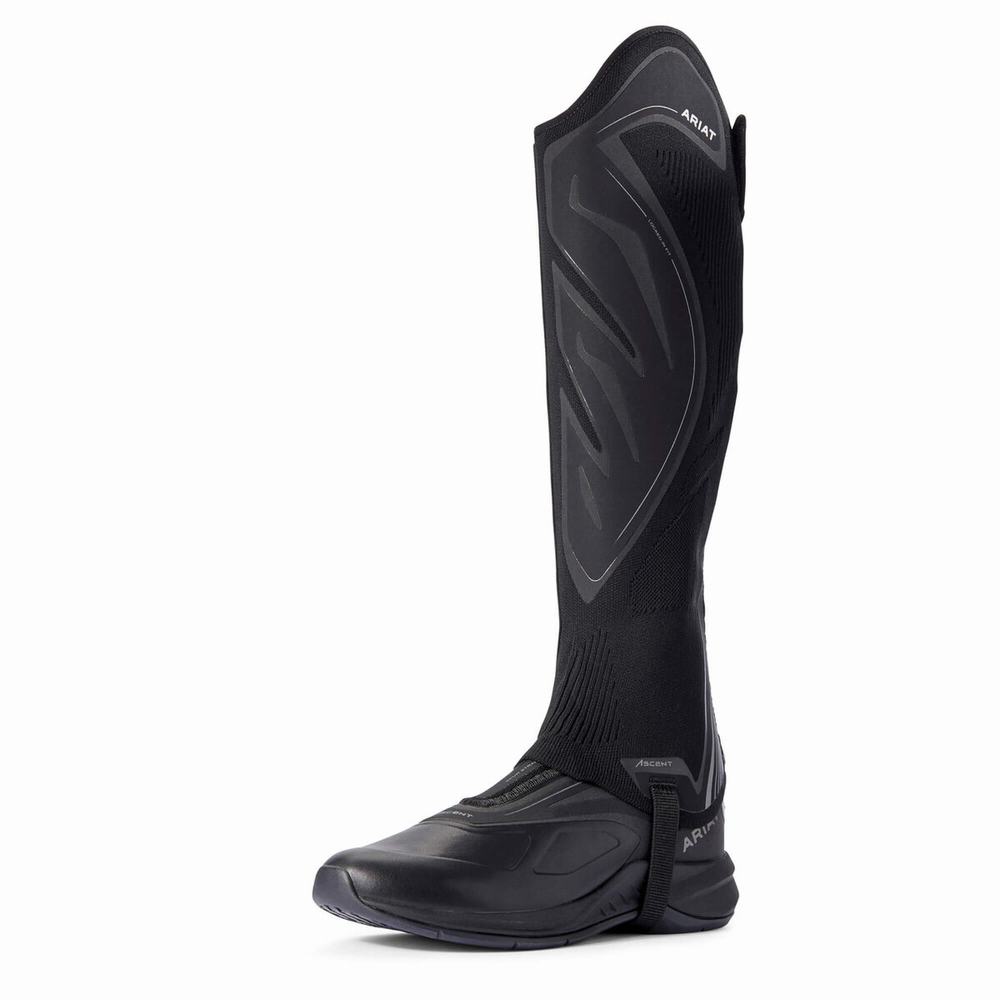 Ariat Ascent Half Chap Reitstiefel Damen Schwarz | 536LABHMQ