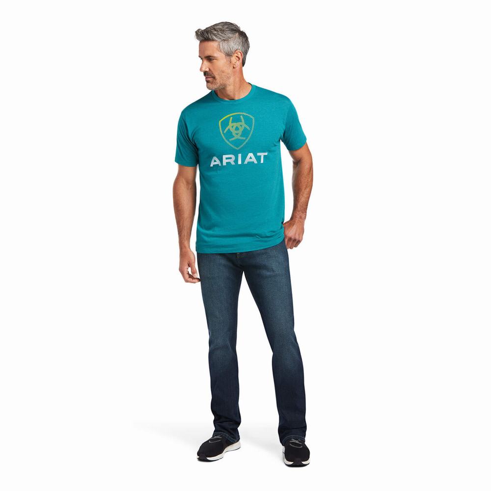 Ariat Blends Polo Shirts Herren Dunkeltürkis | 361GWJIXH