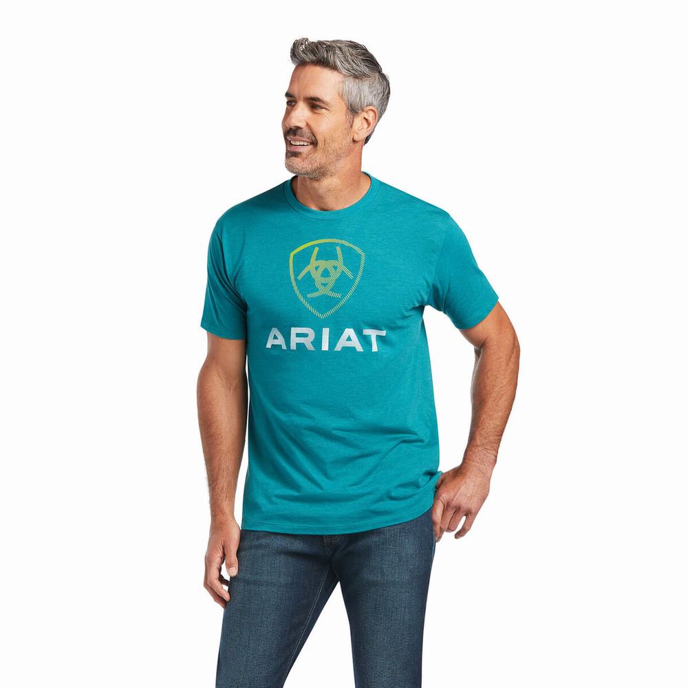 Ariat Blends Polo Shirts Herren Dunkeltürkis | 361GWJIXH