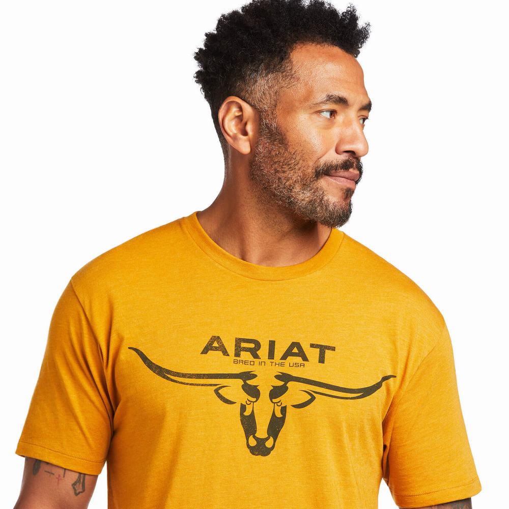 Ariat Bred in the USA Polo Shirts Herren Mehrfarbig | 289WOKLNC