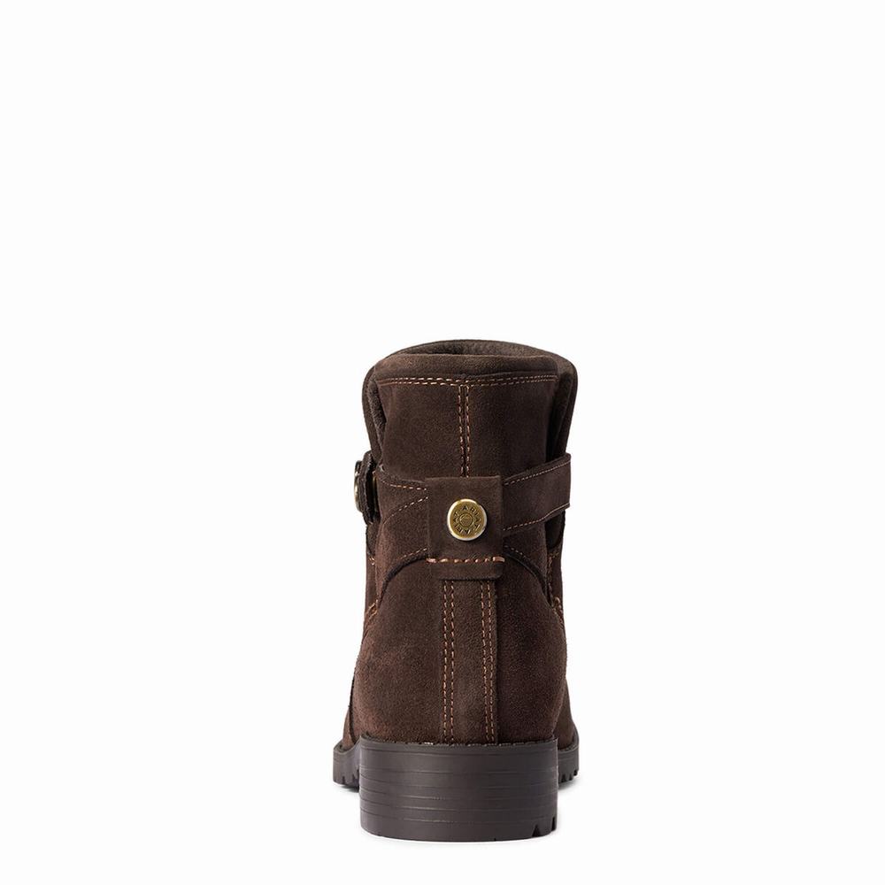 Ariat Charlie Wasserdichte Wasserfeste Stiefel Damen Schokolade | 572ADIXVQ