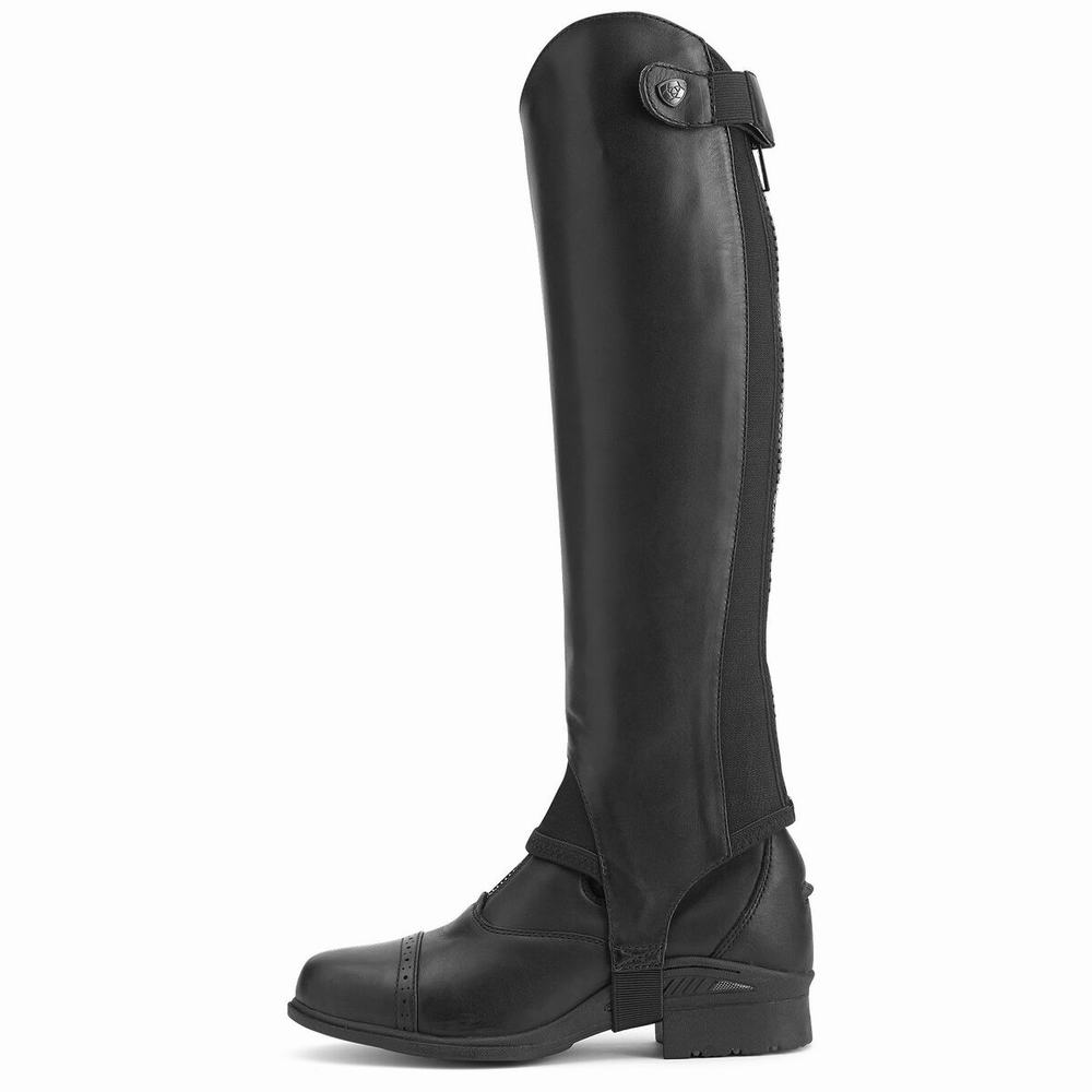 Ariat Close Contour Chap Half Chap Reitstiefel Herren Schwarz | 581AQHRDE