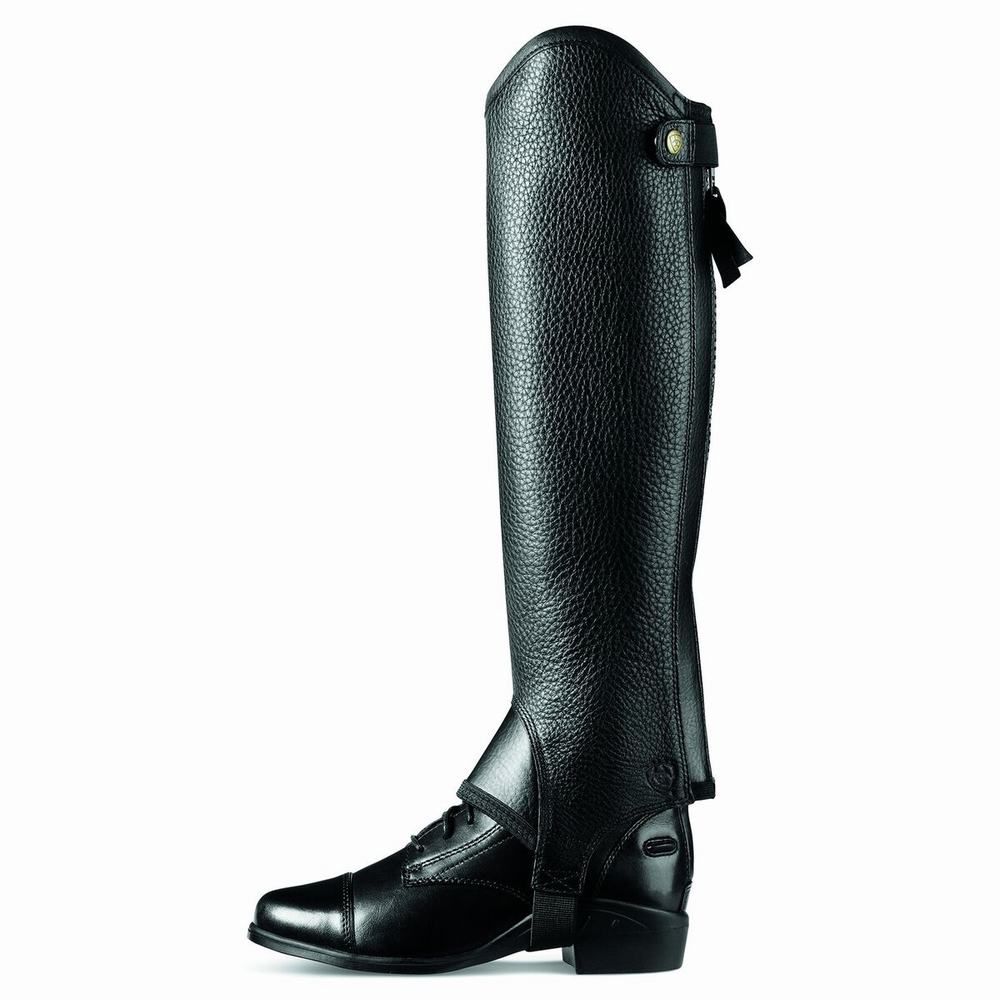 Ariat Concord Chap Half Chap Reitstiefel Damen Schwarz | 478FAPEDY