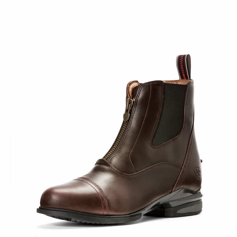 Ariat Devon Nitro Paddock Reitstiefel Damen Schokolade | 705IDHEOQ