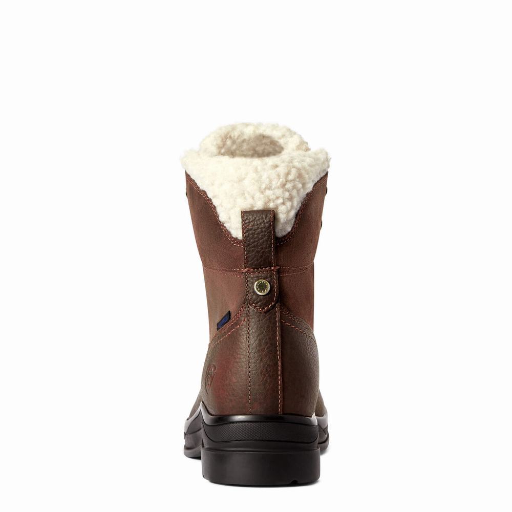 Ariat Harper Wasserdichte Reitstiefel Damen Dunkelbraun | 324VFEZGL