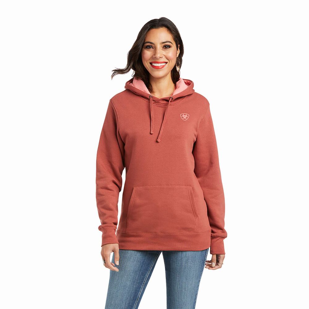 Ariat REAL Arm Logo Hoodie Damen Mehrfarbig | 942WTKVCO