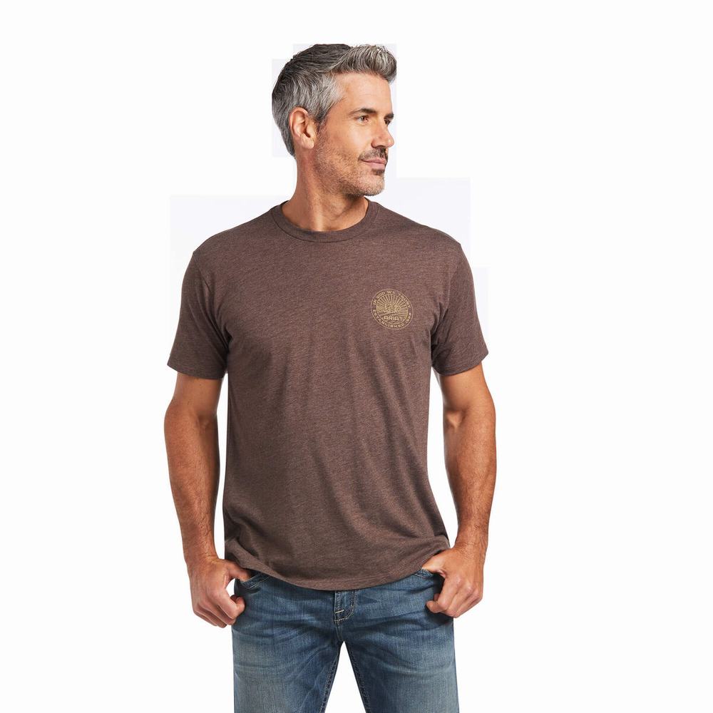 Ariat SOD Polo Shirts Herren Braun | 180PGSLMK