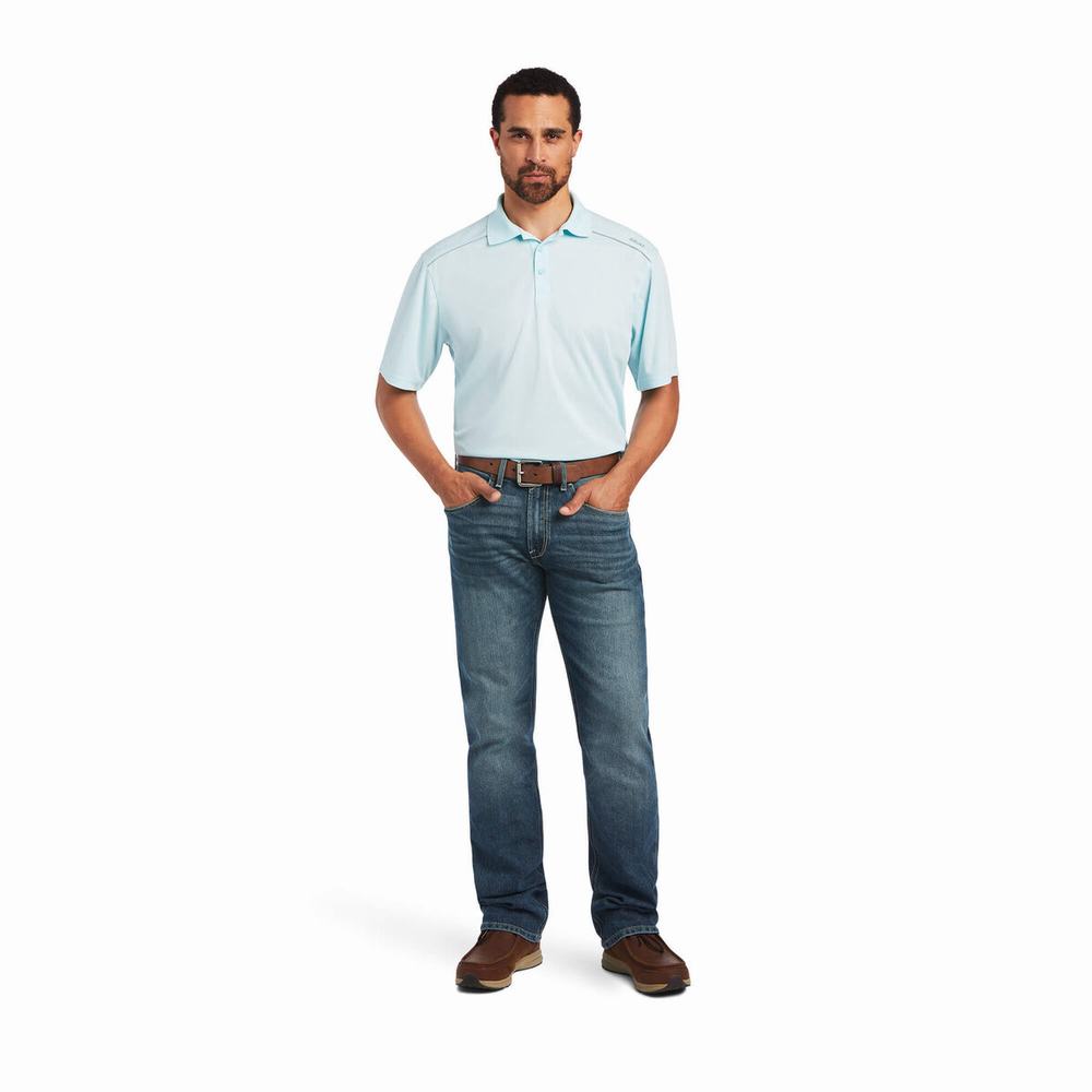 Ariat TEK 2.0 Polo Shirts Herren Mehrfarbig | 396CYNPOH