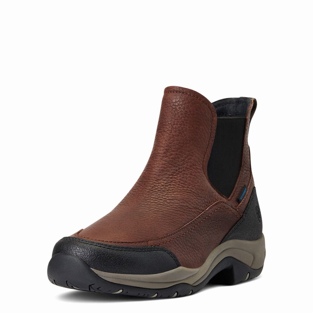 Ariat Terrain Blaze Wasserdichte Reitstiefel Damen Dunkelbraun | 306IAPFEO