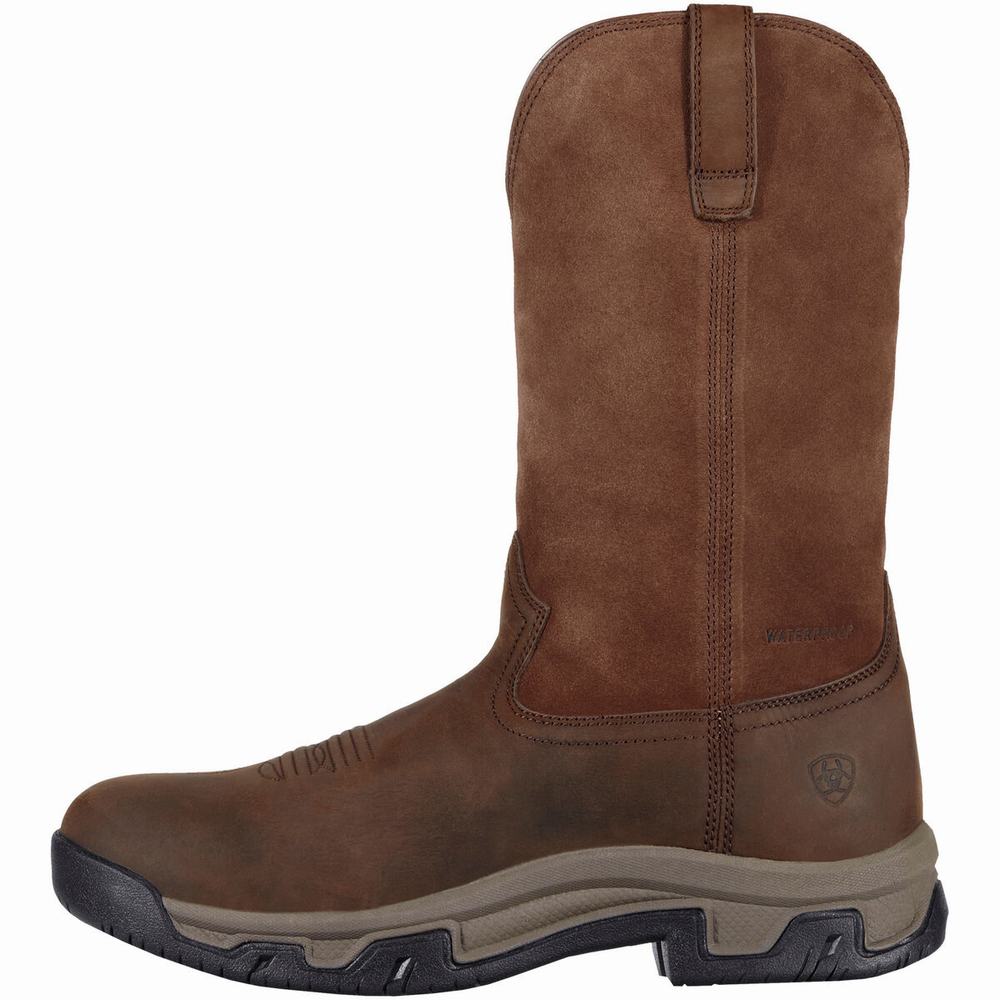 Ariat Terrain Pull On Wasserdichte Reitstiefel Herren Braun | 297RPJUVE