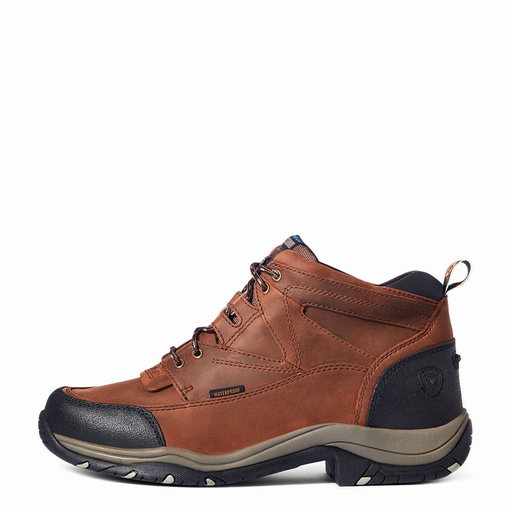 Ariat Terrain Wasserdichte Reitstiefel Herren Kupfer | 325NOUWEC