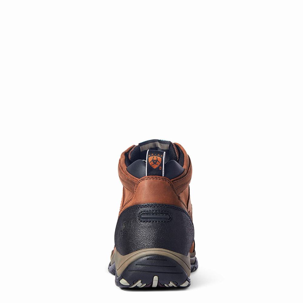 Ariat Terrain Wasserdichte Reitstiefel Herren Kupfer | 325NOUWEC