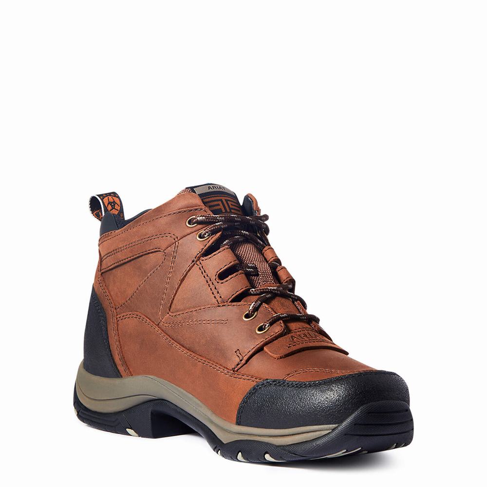 Ariat Terrain Wasserdichte Reitstiefel Herren Kupfer | 325NOUWEC