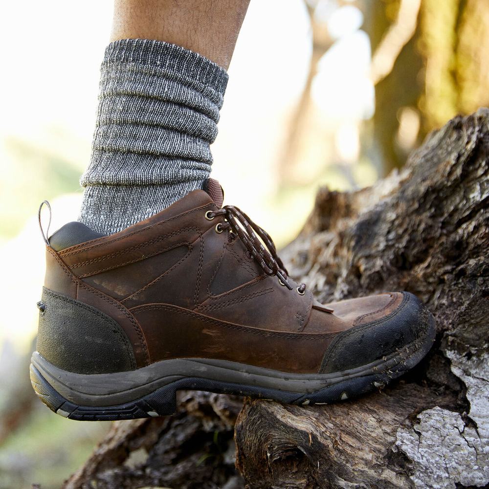 Ariat Terrain Wasserdichte Reitstiefel Herren Kupfer | 325NOUWEC