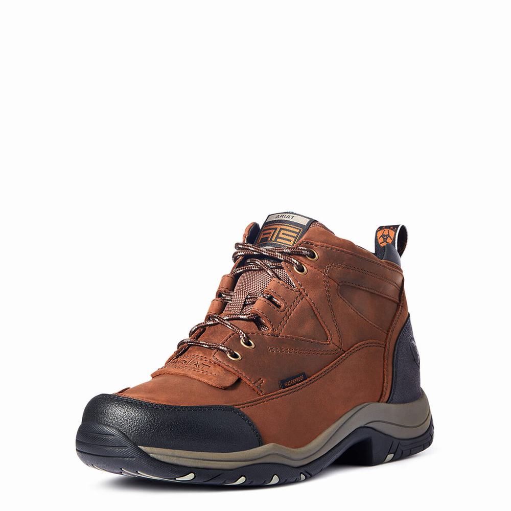 Ariat Terrain Wasserdichte Reitstiefel Herren Kupfer | 325NOUWEC