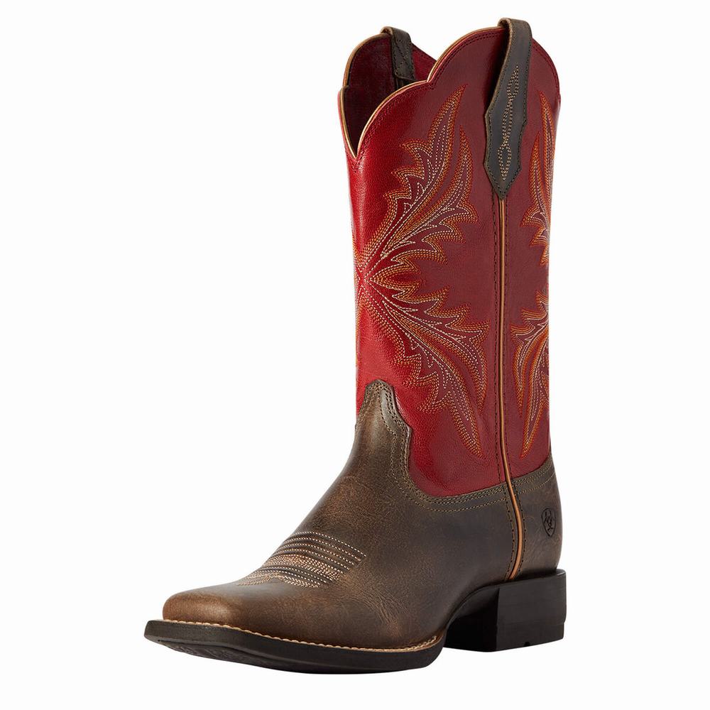 Ariat West Bound Westernstiefel Damen Mehrfarbig | 582NYBIZH