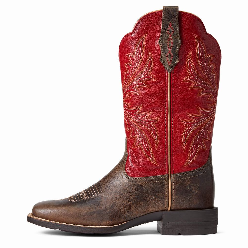 Ariat West Bound Westernstiefel Damen Mehrfarbig | 582NYBIZH