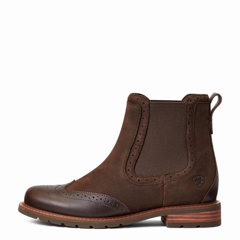 Ariat Wexford Brogue Wasserdichte Wasserfeste Stiefel Damen Schokolade Braun | 236TBUJFE