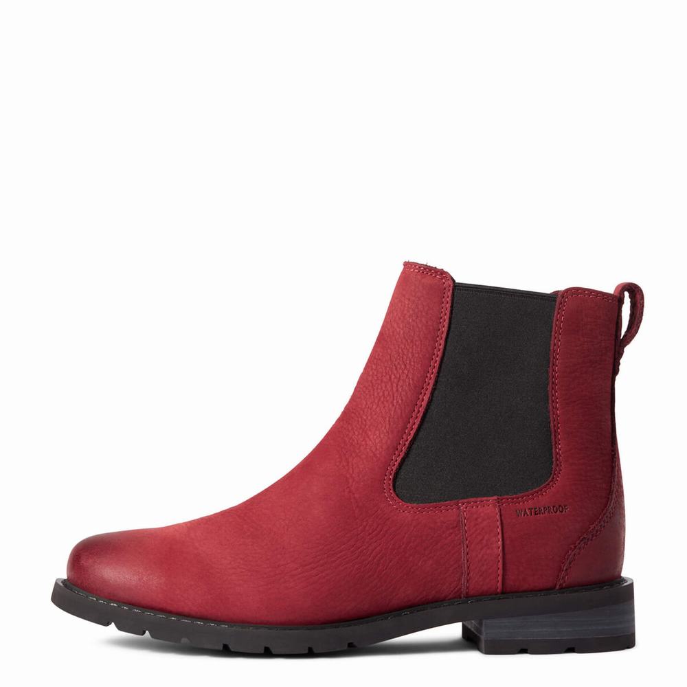 Ariat Wexford Wasserdichte Wasserfeste Stiefel Damen Mehrfarbig | 619IKGHMV