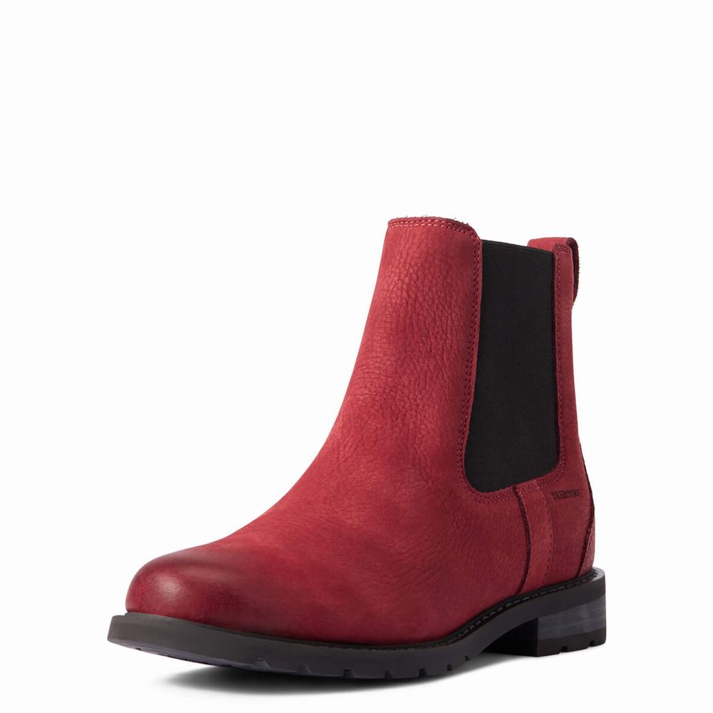 Ariat Wexford Wasserdichte Wasserfeste Stiefel Damen Mehrfarbig | 619IKGHMV