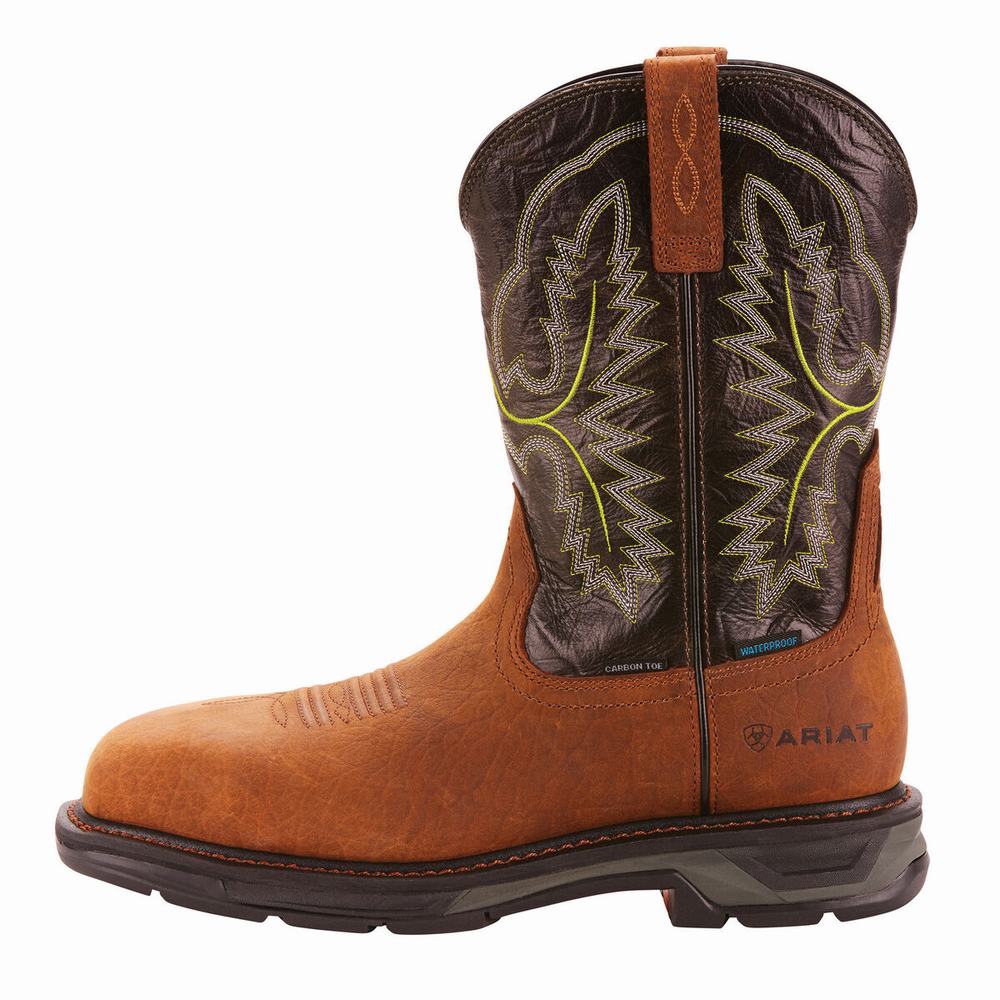 Ariat WorkHog XT Wasserdichte Carbon Kappe Wasserfeste Stiefel Herren Mehrfarbig | 857IBQTJX