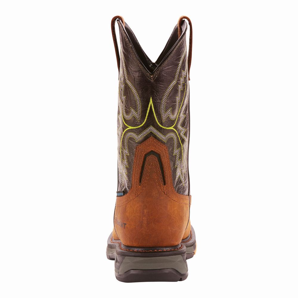 Ariat WorkHog XT Wasserdichte Carbon Kappe Wasserfeste Stiefel Herren Mehrfarbig | 857IBQTJX